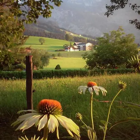 Hirterhuette Lägenhet *