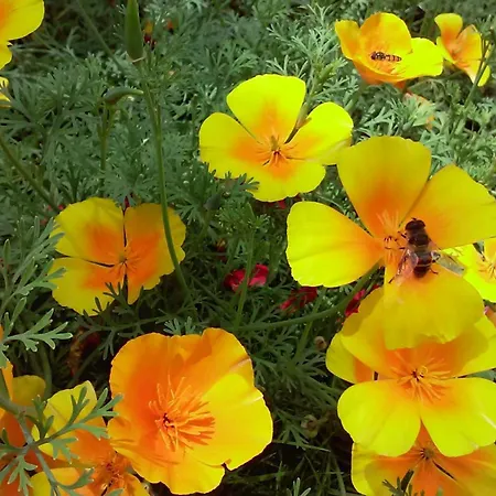 Hirterhuette Abtenau