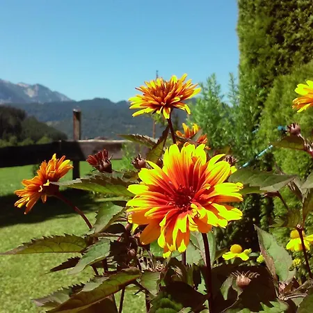 Hirterhuette * Abtenau