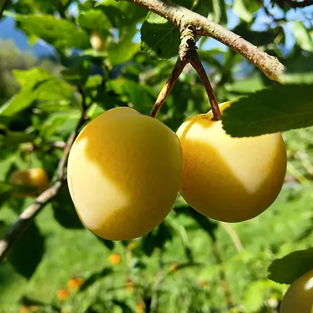 Hirterhuette 아파트 압티나우